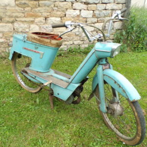 Rare terrot Skipper 10524