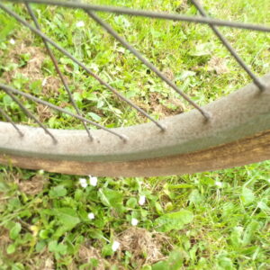 Rare terrot Skipper 10524 – Image 10