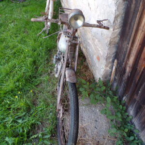 BMA Rhonyx 100 cm3 moteur stainless – Image 9