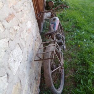 BMA Rhonyx 100 cm3 moteur stainless – Image 8