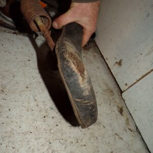 selle bauriat MB1 entretube courroie motobecane peugeot terrot ultima 11025 – Image 5