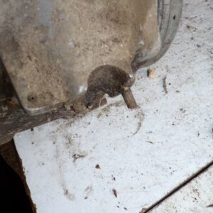 bas Moteur vilebrequin Z 125 motobecane incomplet 13825 – Image 4