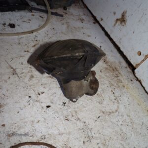 phare additionnel électrique manque cerclage peugeot motobecane terrot 8925