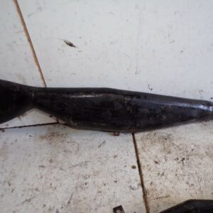 Paire de pot echappement Dollar peugeot terrot motobecane 8925 – Image 5