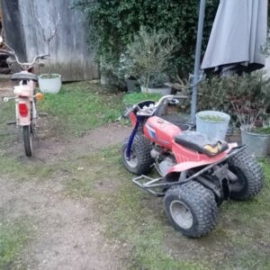 Honda Quad ATC 70 cm3 3126 – Image 5