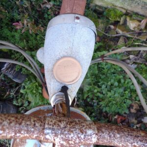 Mobylette Bianchi MS 50 Licence PUCH 5226 – Image 4