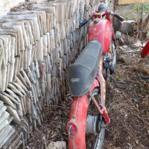 Mobylette Motom Sport 4 temps 5326 – Image 6