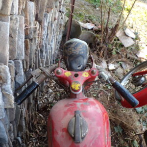 Mobylette Motom Sport 4 temps 5326 – Image 5